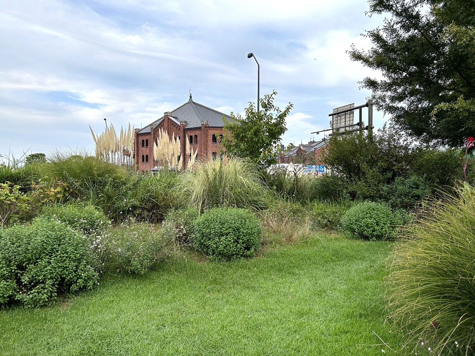 横浜みなとみらい-新港中央広場 -赤レンガ